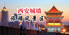 免费看女人内操操网中国陕西-西安城墙旅游风景区
